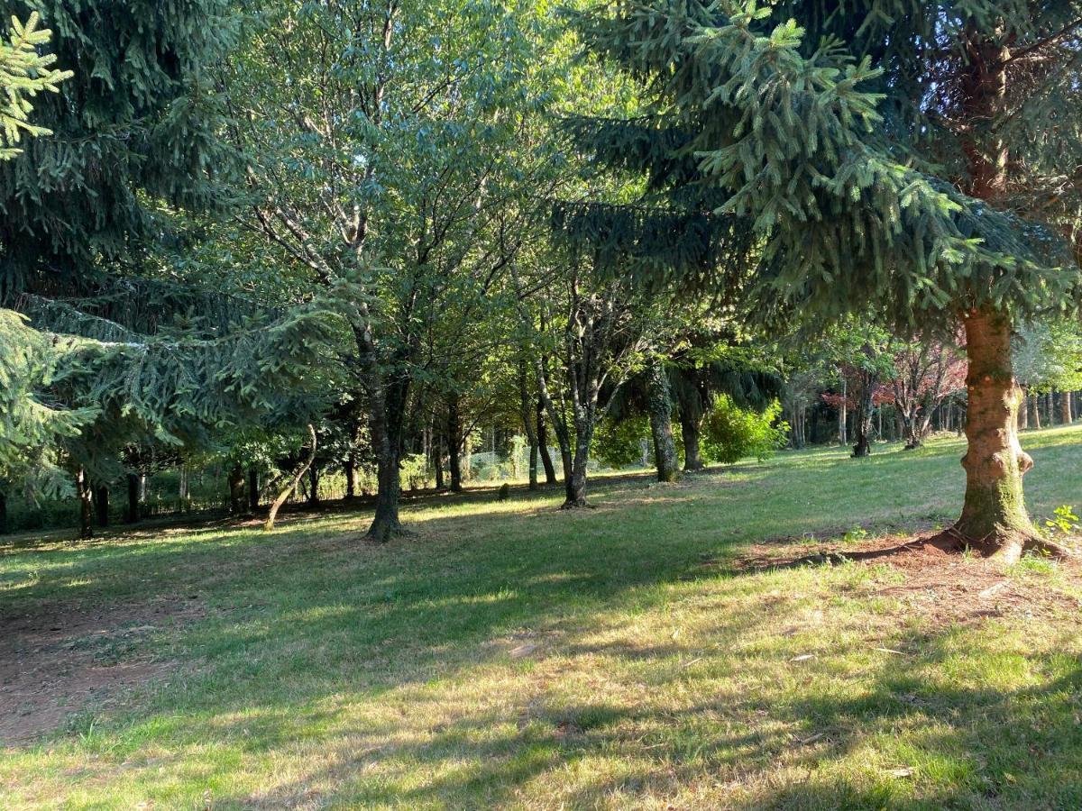 O Casal Das Arbores Santiago de Compostela Bagian luar foto
